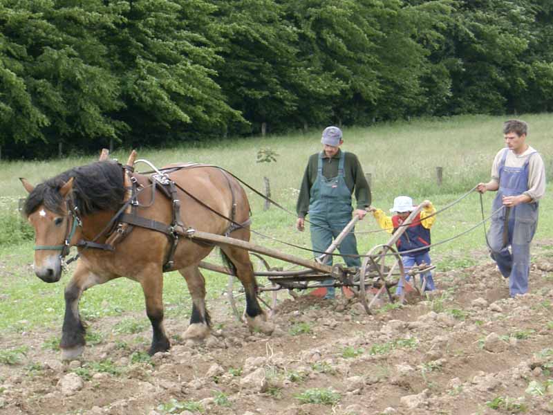 Landwirte pflügen ein Feld mit Hilfe von Pferd und Pflug