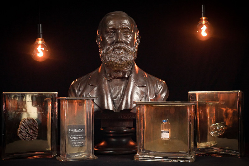 Trophäen des Virchow-Preises
