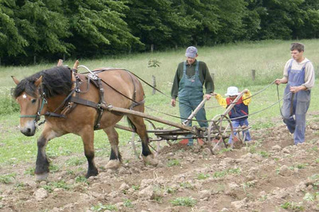 Landwirte pflügen ein Feld mit Hilfe von Pferd und Pflug