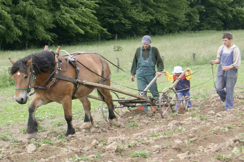 Landwirte pflügen ein Feld mit Hilfe von Pferd und Pflug