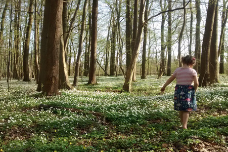 Ein Kind läuft durch einen sonnenbeschienenen Wald mit weißen Blumen 