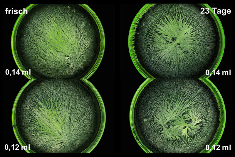 crystallization of wine after opening seen through a microscope