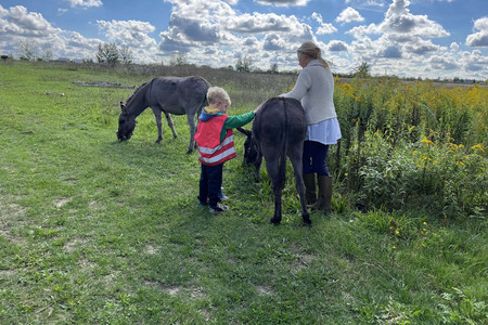 Woman and child stroking donkeys in the meadow