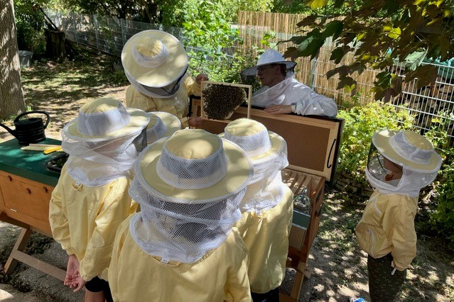 Beekeeper with students wearing beekeeping gear