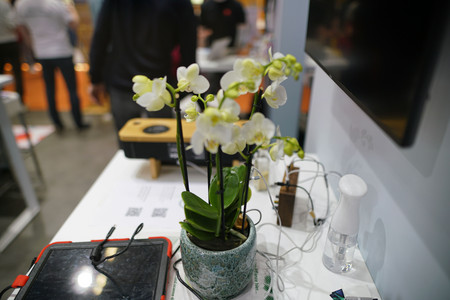 Orchidee mit Messinstrumenten