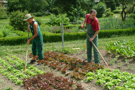 Begleitete Gartenarbeit