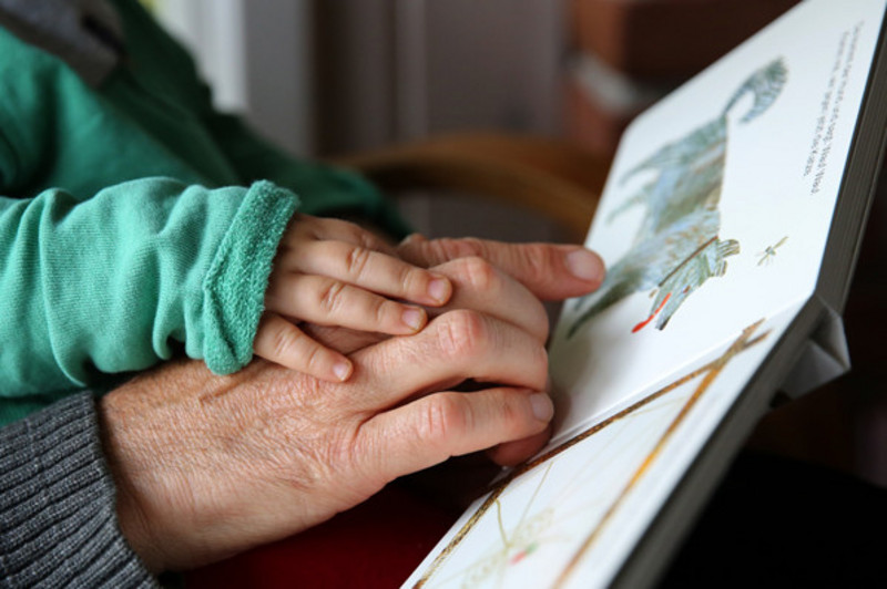 A man and a young child looking at a storybook, but you can only see the book and their hands