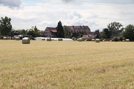 Fields and Yard of Dotti