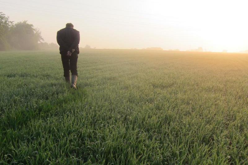 Ein Landwirt in Gummistiefeln und auf dem Rücken verschränkten Händen läuft in der frühen Morgensonne über ein Feld, umgeben von Nebel