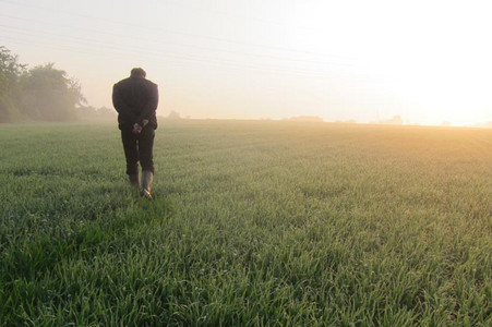 A farmer in rubber boots and with tangled arms on the back is walking over a field in the morning sun, surrounded by fog 
