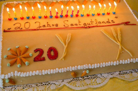 Anniversary cake with candles and lettering that says: Seed Fund Celebrates 20 Year Anniversary