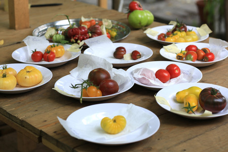 Test station with various foods on plates