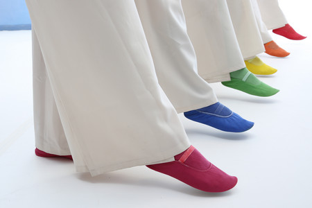 Feet in different coloured Eurythmy Shoes
