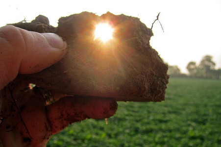A hand holding a peace of soil against the sky, so that the sun can shine through