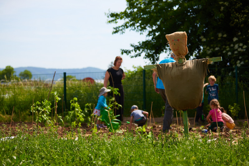 Kinder pflegen die Beete im Garten