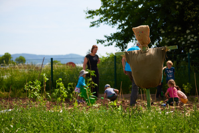 Children tend the beds in the garden