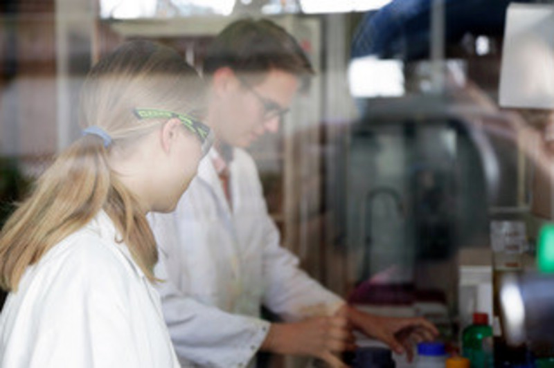 Students in the lab