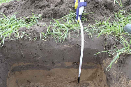 Soil layers underneath the sward