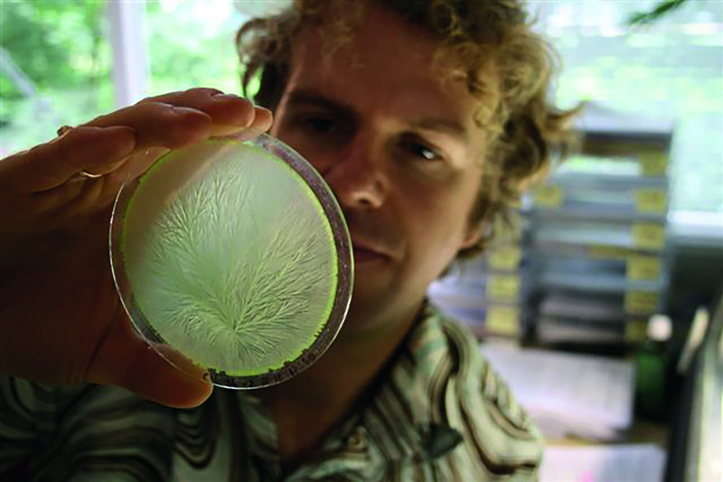 Researcher observes movement in petri dish
