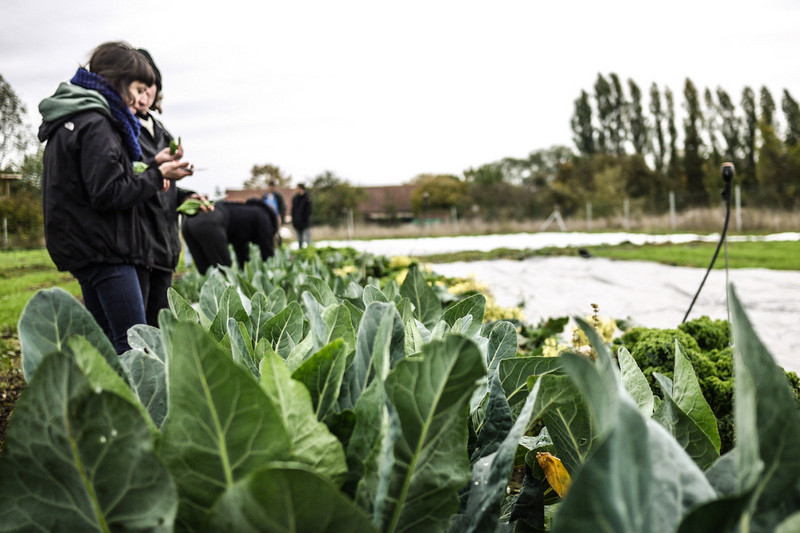 Young people in the field