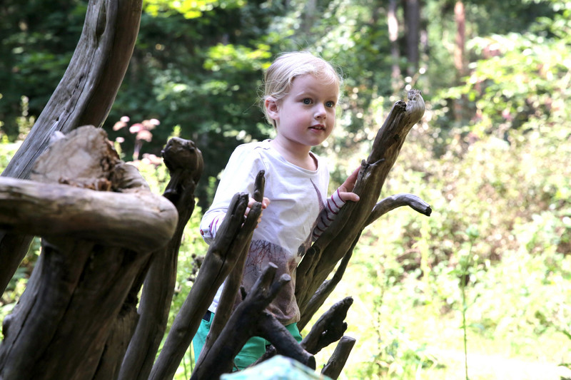 Mädchen auf Entdeckungstour im Wald