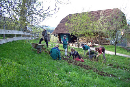 Children who think in images being taught on a Demeter farm