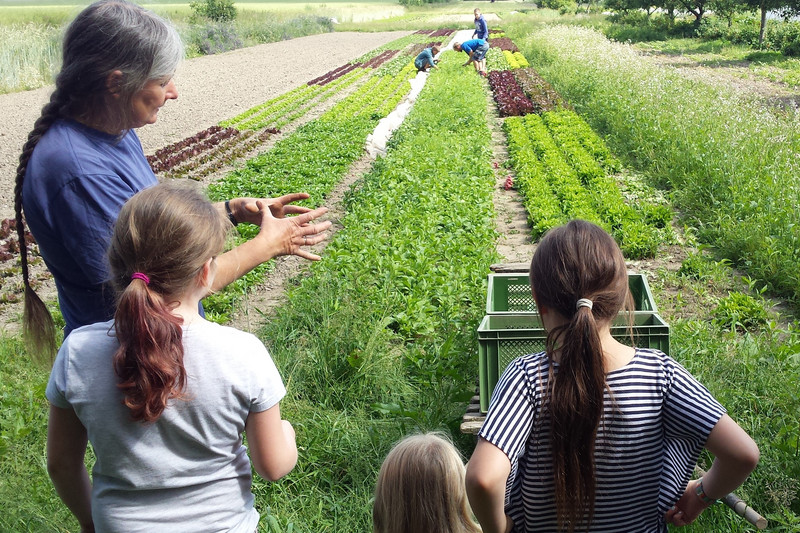 Kinder zu Besuch beim Bio-Bauern 