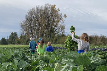 Kinder im Kohlbeet