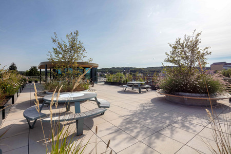 Green roof terrace in the sunshine