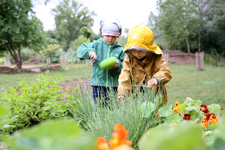 Kindergartenkinder im Kräutergarten