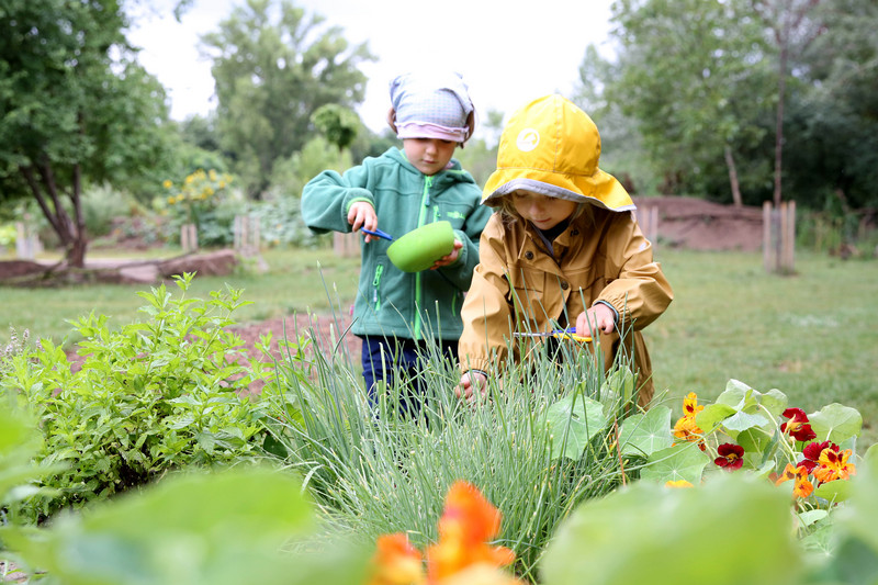 Kindergarten children in the herb garden