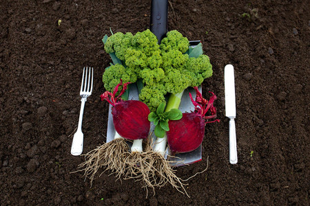 Gemüse auf einer Schaufel und daneben Besteck