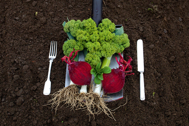 Some vegetables on a shovel with cutlery besides