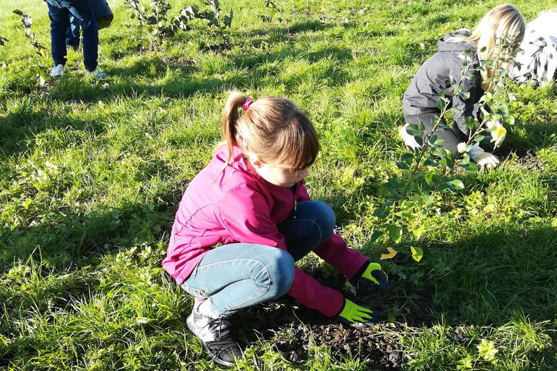 Girls planting trees