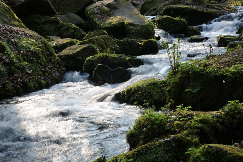Flowing creek