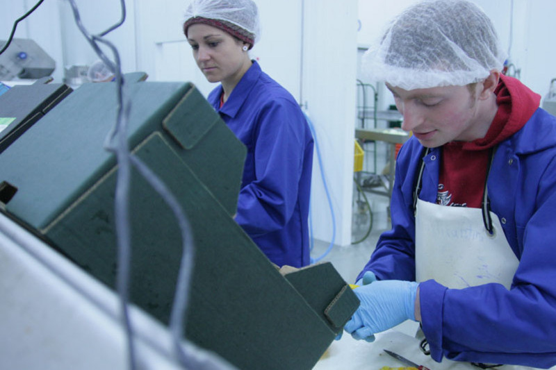 Two employees preparing fresh food in a kitchen