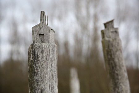 Karge Landschaft im Morast: Holzpfosten mit geschnitztem Haus auf dessen Spitze