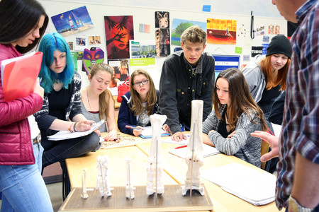 Oberstufenschüler im Biologieunterricht