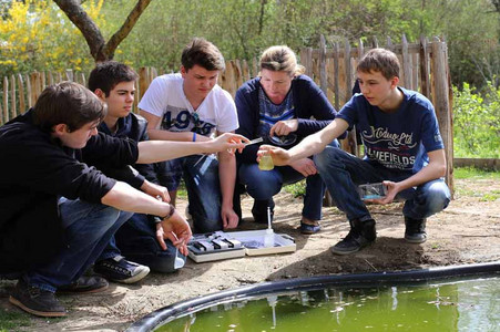 Schüler nehmen eine Wasserprobe an einem Teich