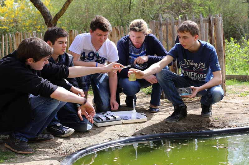 Pupils take a sample of water out of a pond