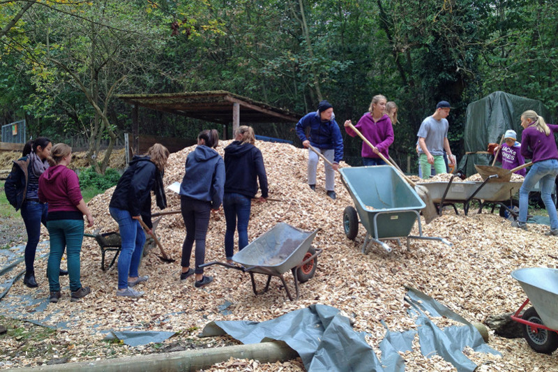 Teenager shoveling wood chippers