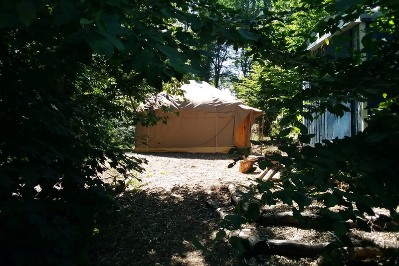 Yurt in the countryside