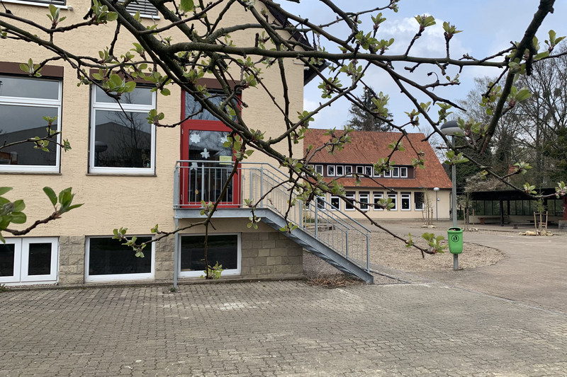 Schoolyard with green